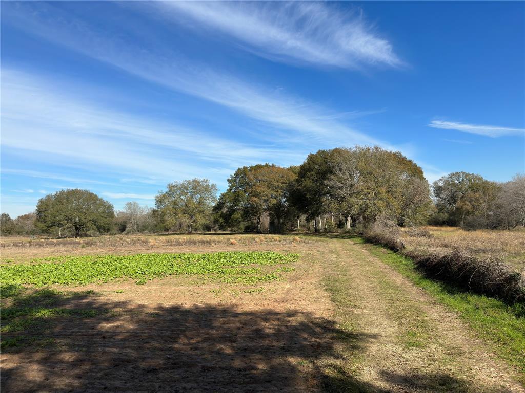 39492 Garrett Road, Pattison, Texas image 4