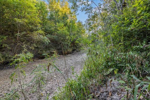 TBD Wendy Lane - Lot 17, Round Top, Texas image 3