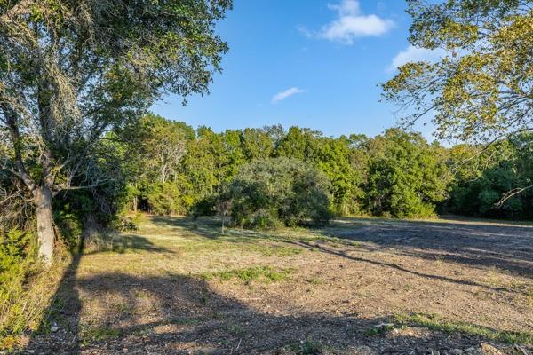 TBD Wendy Lane - Lot 17, Round Top, Texas image 5