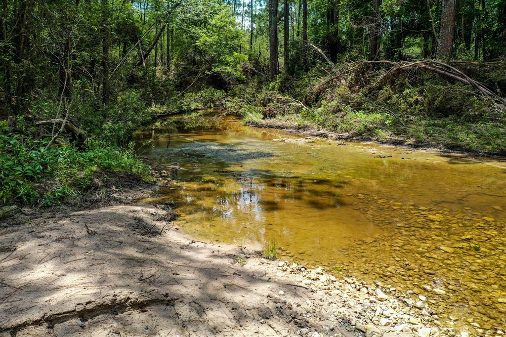 220 Ac Josserand Road, Groveton, Texas image 17