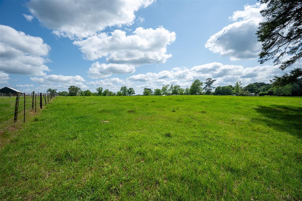 1893 County Road 4250, Woodville, Texas image 7