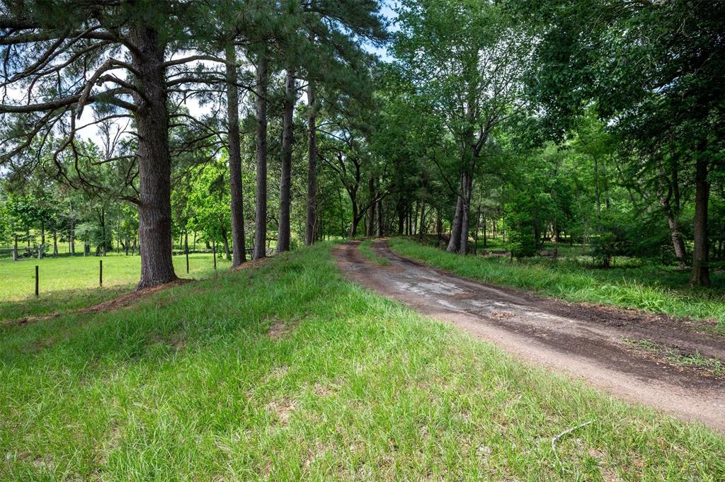 1893 County Road 4250, Woodville, Texas image 49