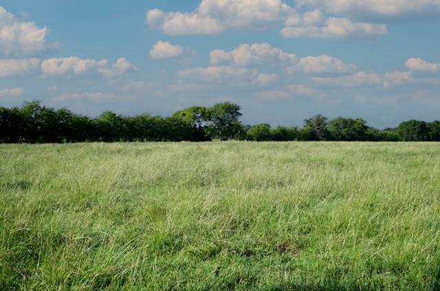 Tract 2 Tbd Cr 318, Caldwell, Texas image 6