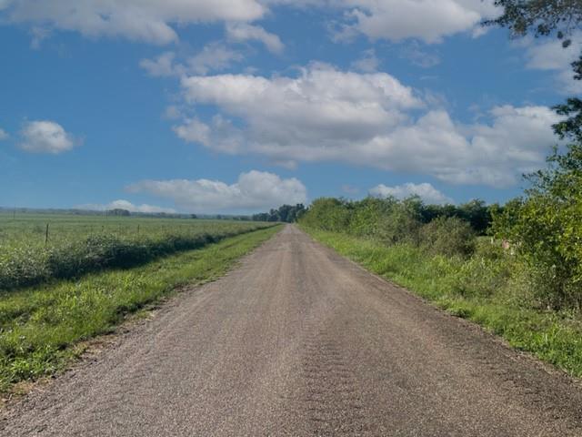 Tract 2 Tbd Cr 318, Caldwell, Texas image 7