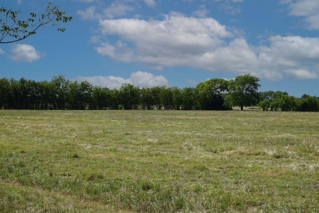 Tract 2 Tbd Cr 318, Caldwell, Texas image 3