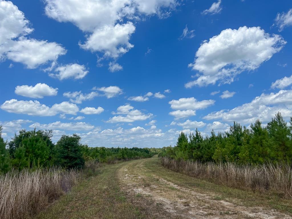 Us 69, Warren, Texas image 13