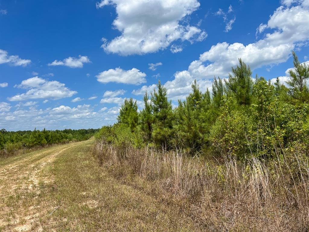 Us 69, Warren, Texas image 8