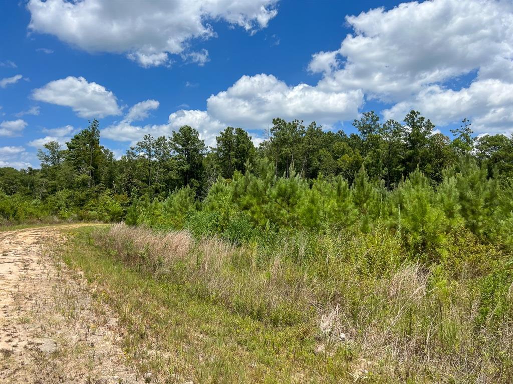 Us 69, Warren, Texas image 9