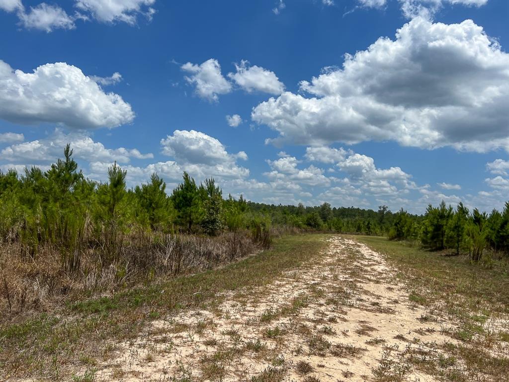 Us 69, Warren, Texas image 12