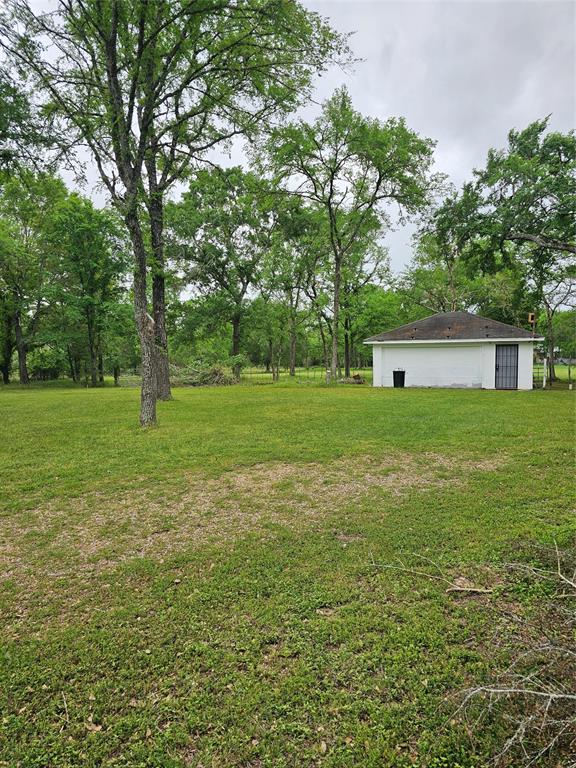 9041 Lakecrest Drive, Montgomery, Texas image 10