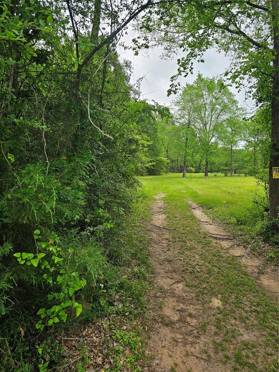 9041 Lakecrest Drive, Montgomery, Texas image 7
