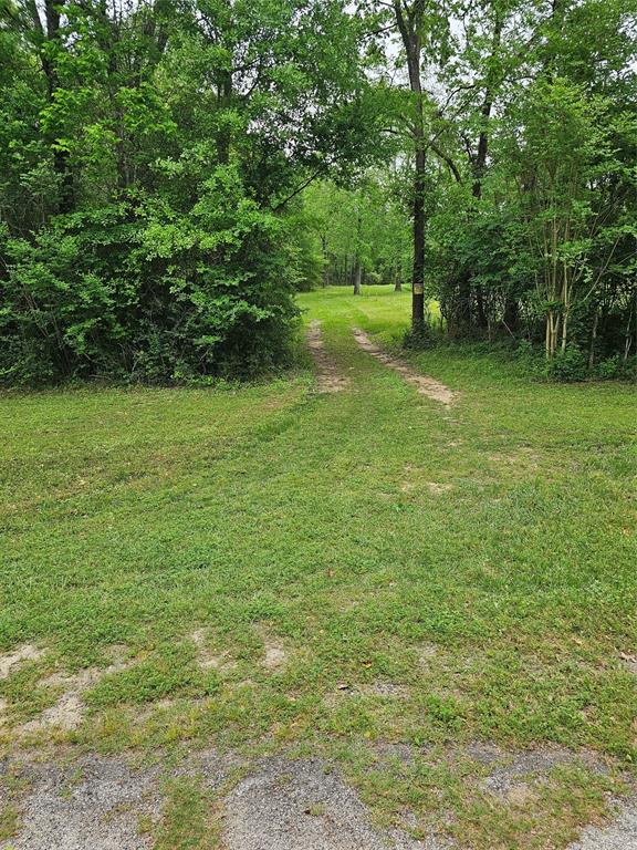 9041 Lakecrest Drive, Montgomery, Texas image 8
