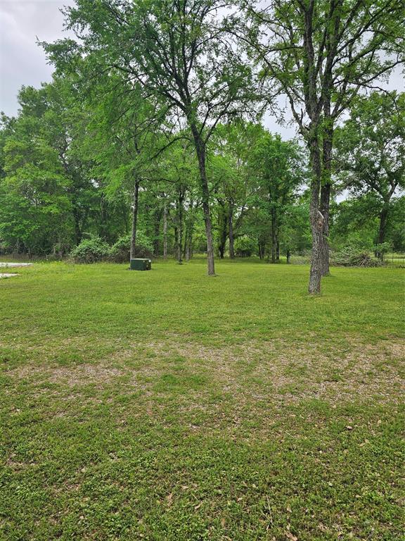 9041 Lakecrest Drive, Montgomery, Texas image 2