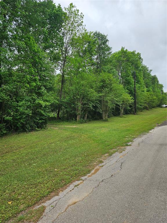 9041 Lakecrest Drive, Montgomery, Texas image 6