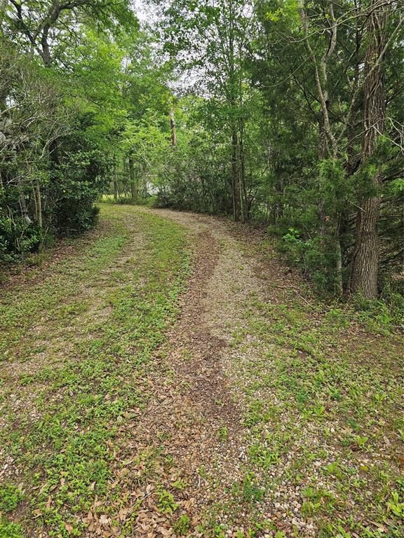9041 Lakecrest Drive, Montgomery, Texas image 4
