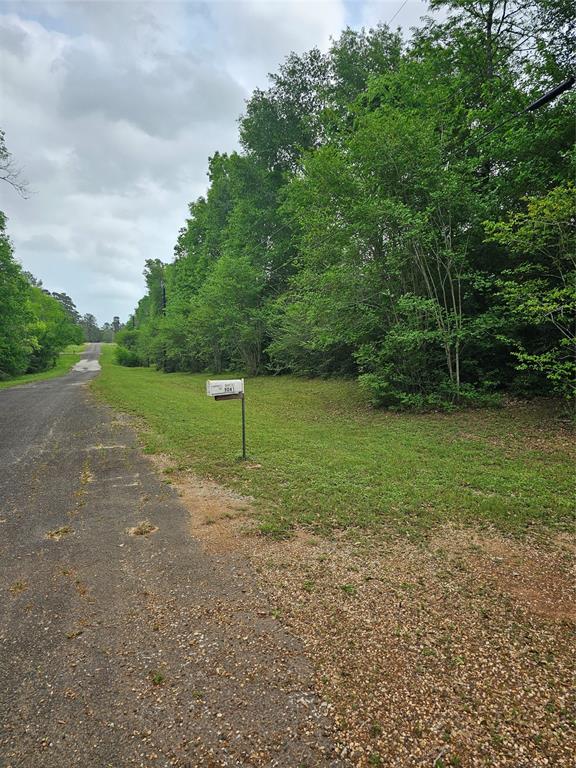 9041 Lakecrest Drive, Montgomery, Texas image 3