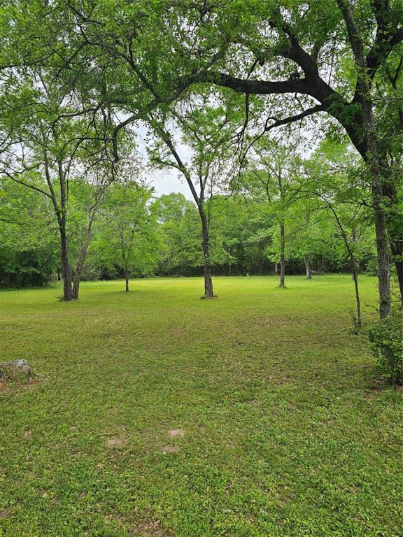 9041 Lakecrest Drive, Montgomery, Texas image 1