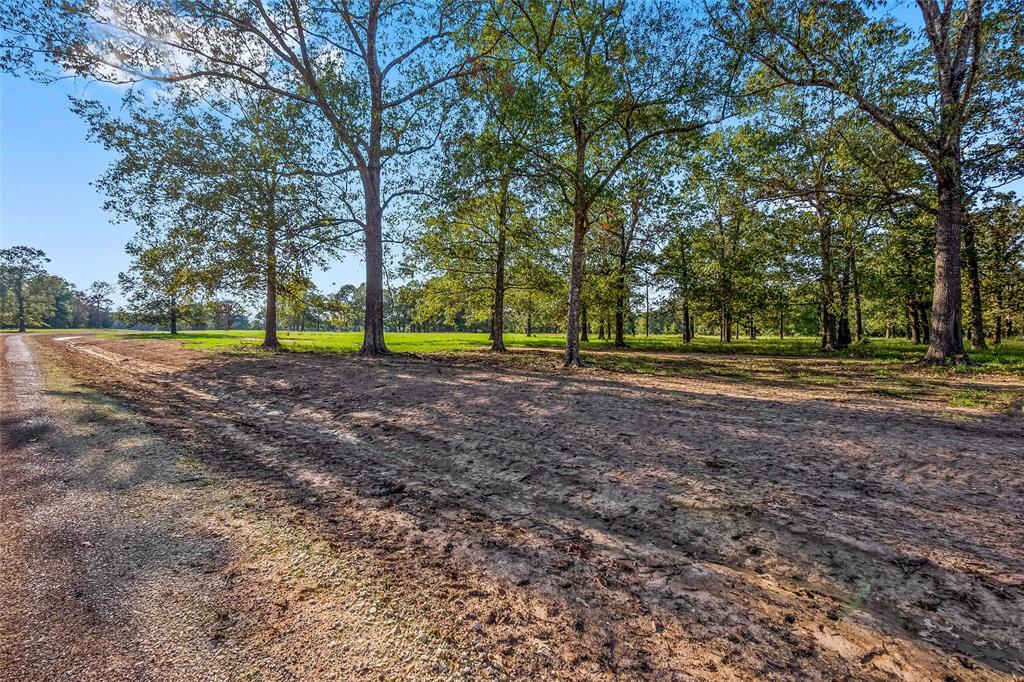 6087 Alans Memorial Lane, New Waverly, Texas image 1