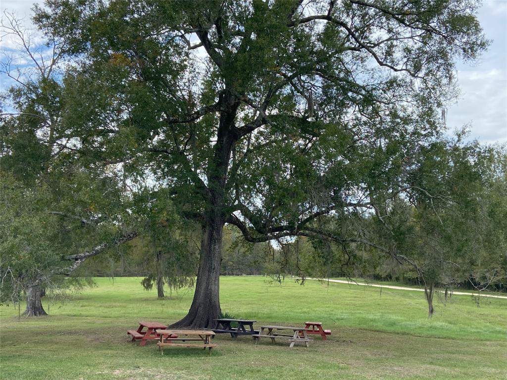 14 Village Mills, Cleveland, Texas image 18
