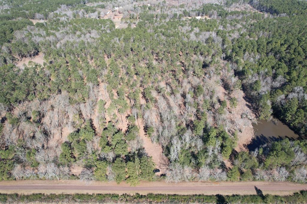 TBD-B County Road 3198, Mount Enterprise, Texas image 6