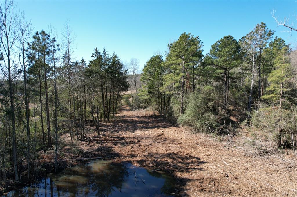 TBD-B County Road 3198, Mount Enterprise, Texas image 8