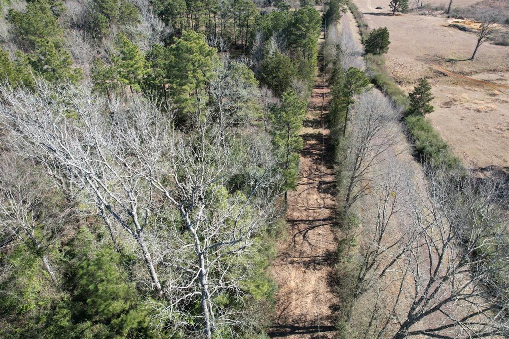 TBD-B County Road 3198, Mount Enterprise, Texas image 5