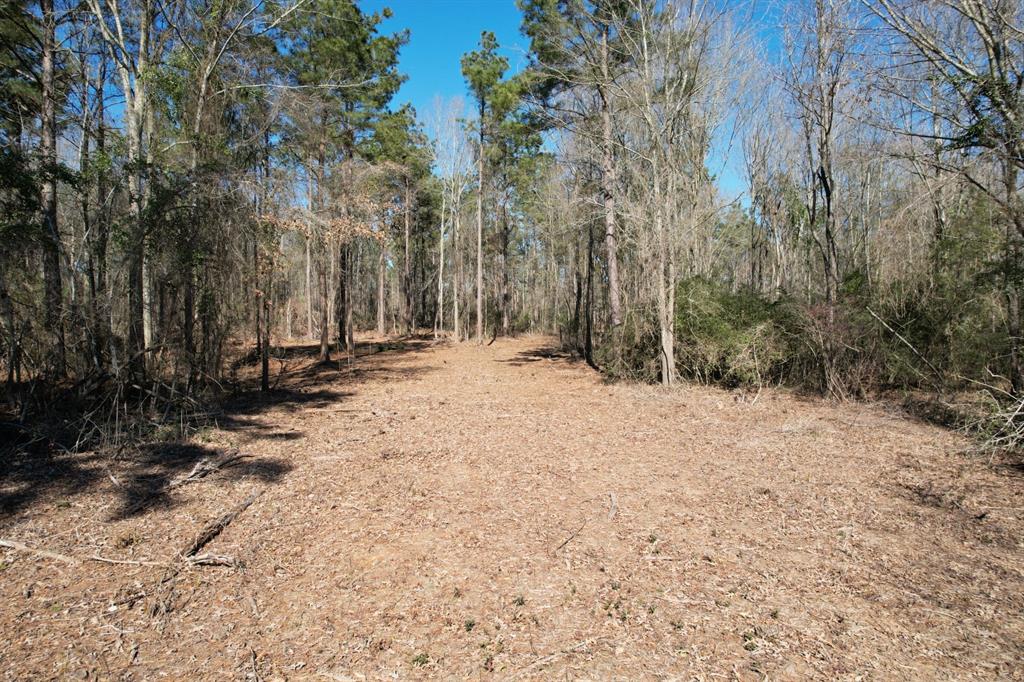 TBD-B County Road 3198, Mount Enterprise, Texas image 4