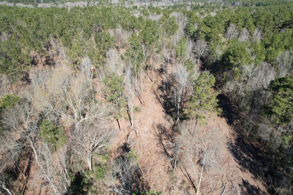 TBD-B County Road 3198, Mount Enterprise, Texas image 9