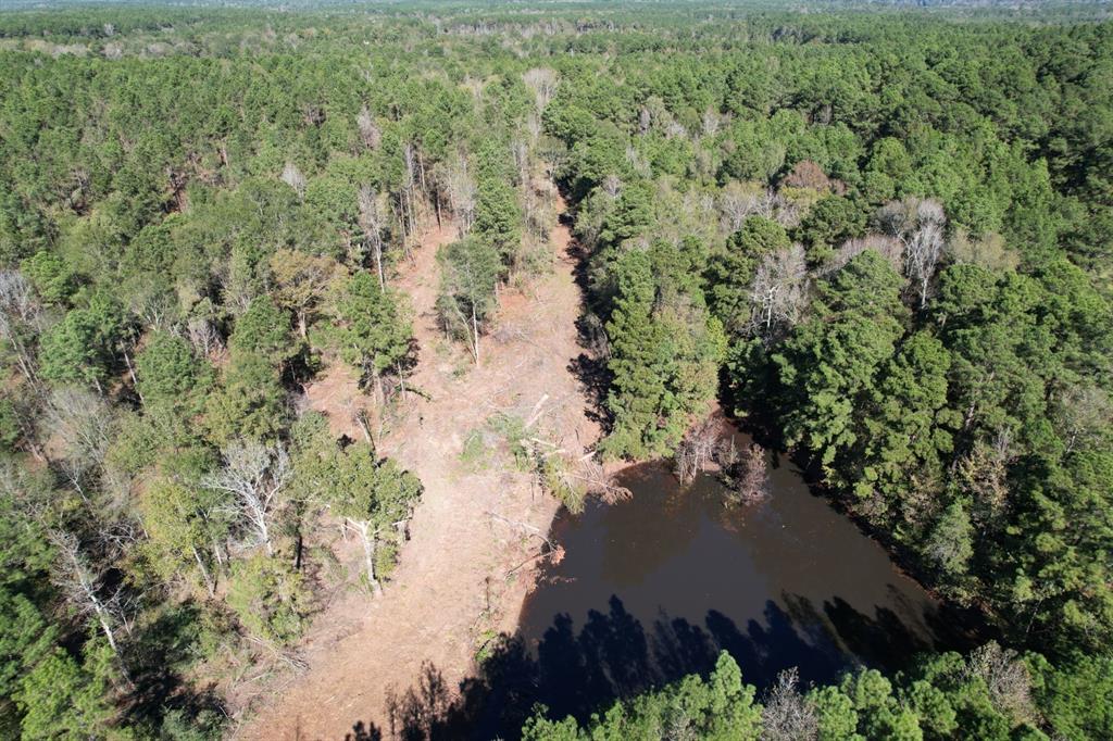 TBD-B County Road 3198, Mount Enterprise, Texas image 3