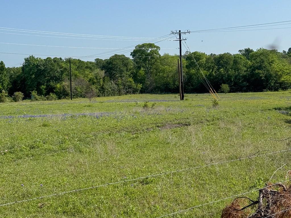 00012 Fm 149 Rd W Road, Anderson, Texas image 2