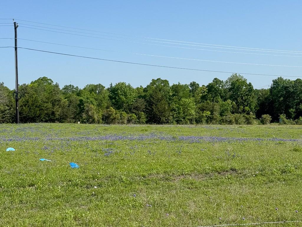 00012 Fm 149 Rd W Road, Anderson, Texas image 3