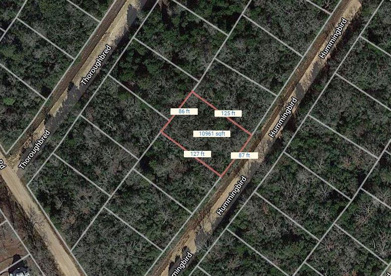 Lot 24 Hummingbird, Normangee, Texas image 4