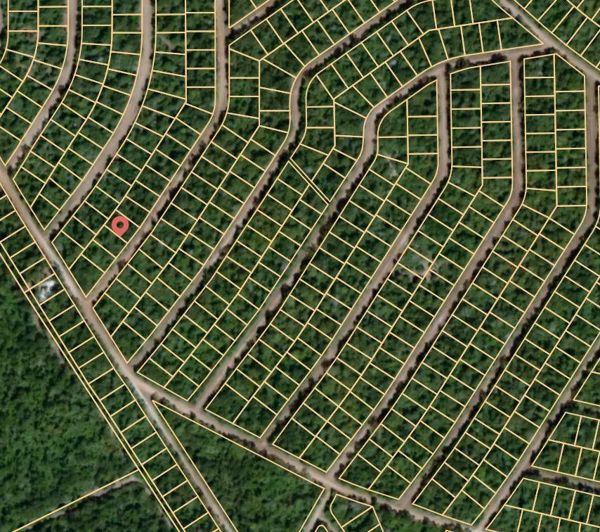 Lot 24 Hummingbird, Normangee, Texas image 2