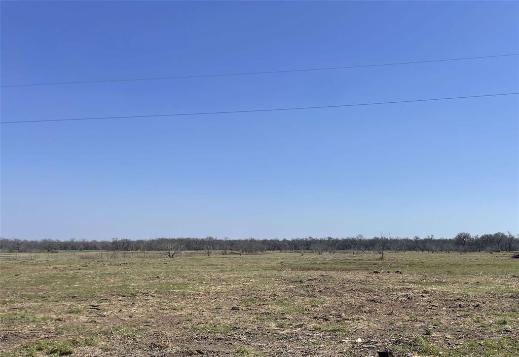 243 W State Highway 7, Kosse, Texas image 2