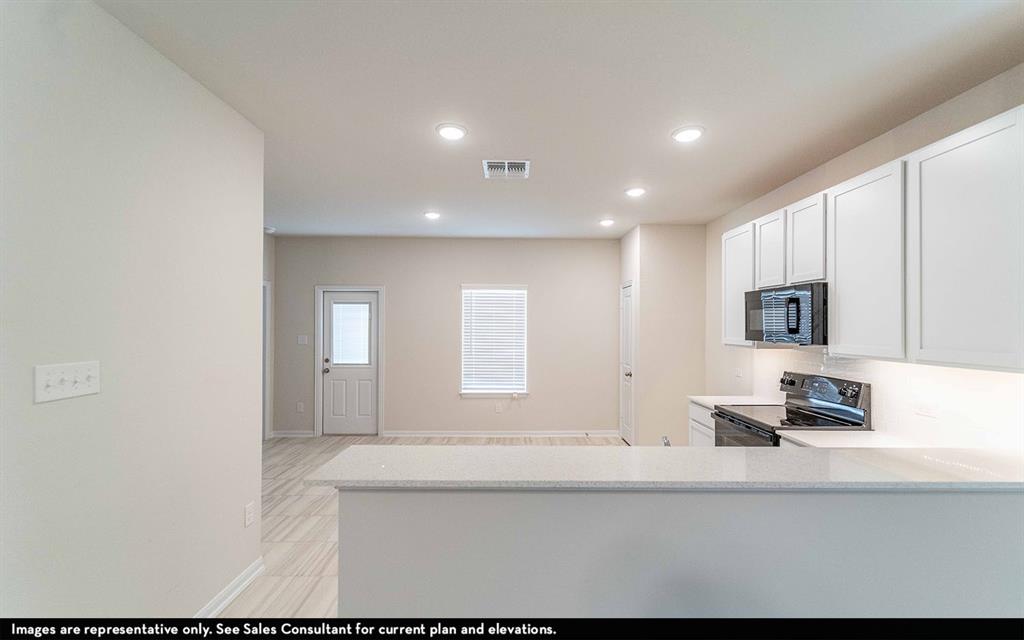 514 Sacred Fig Lane, Crosby, Texas image 6