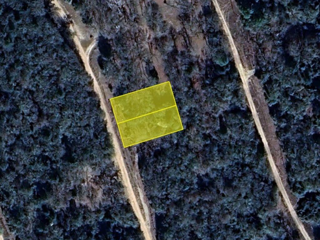 Oaks Drive, Caldwell, Texas image 2