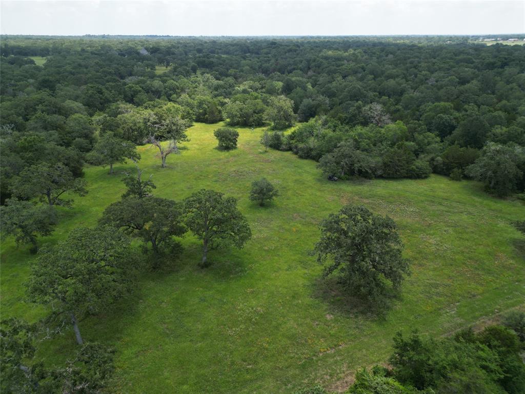 20650 Wellborn Road, College Station, Texas image 5