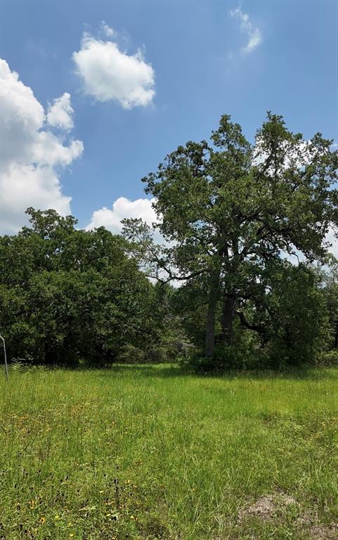 20650 Wellborn Road, College Station, Texas image 9