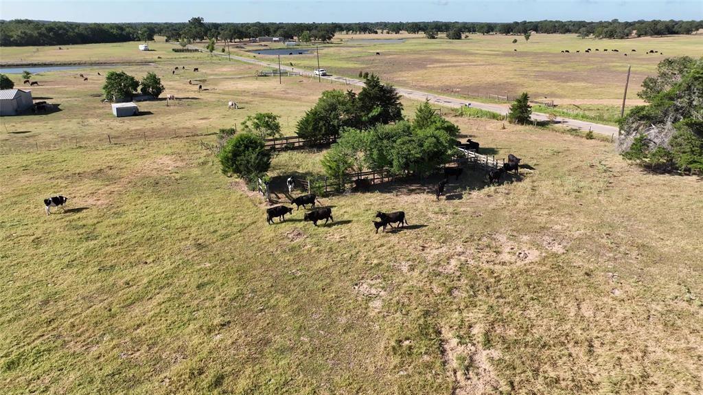 1958 County Road 106, Paige, Texas image 7