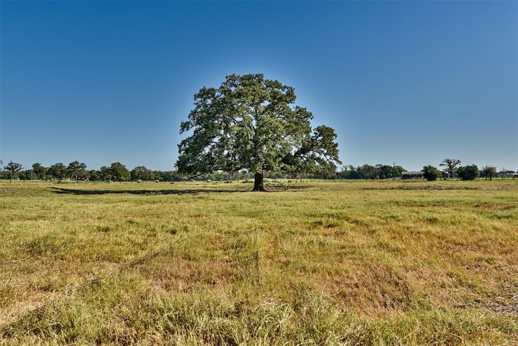 1958 County Road 106, Paige, Texas image 14