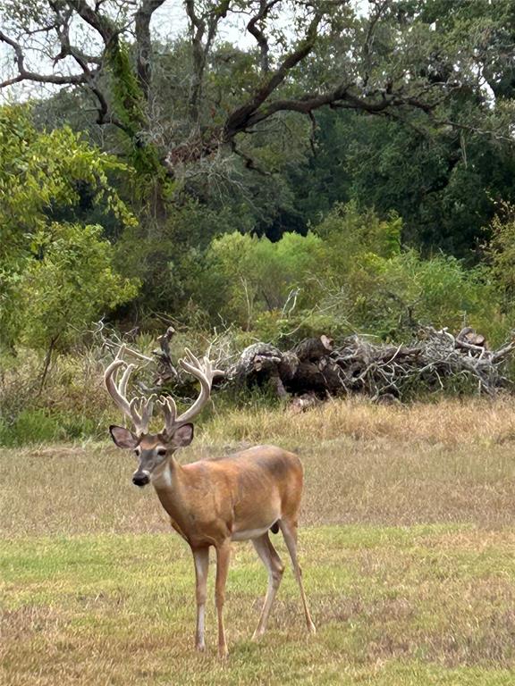 7150 Fm 3012 Road, Wharton, Texas image 34