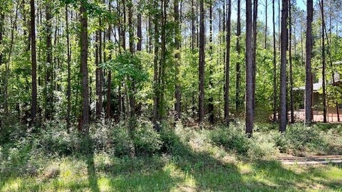 Vacant Land For Sale - TBD Westridge Park<br/> Livingston, TX 77351