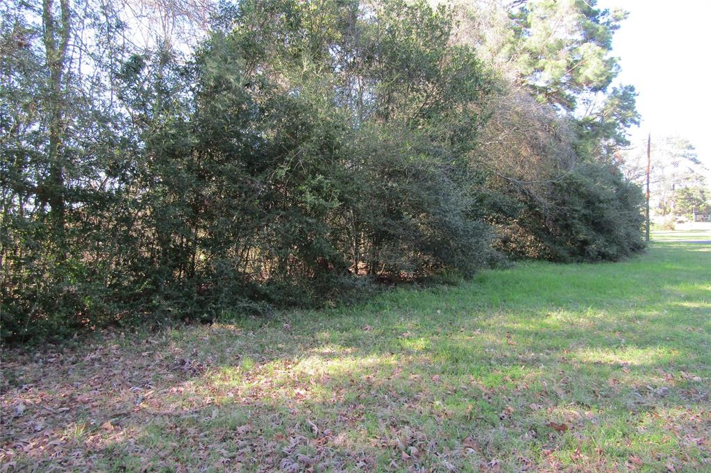 TBD0 Chain Road, Livingston, Texas image 1