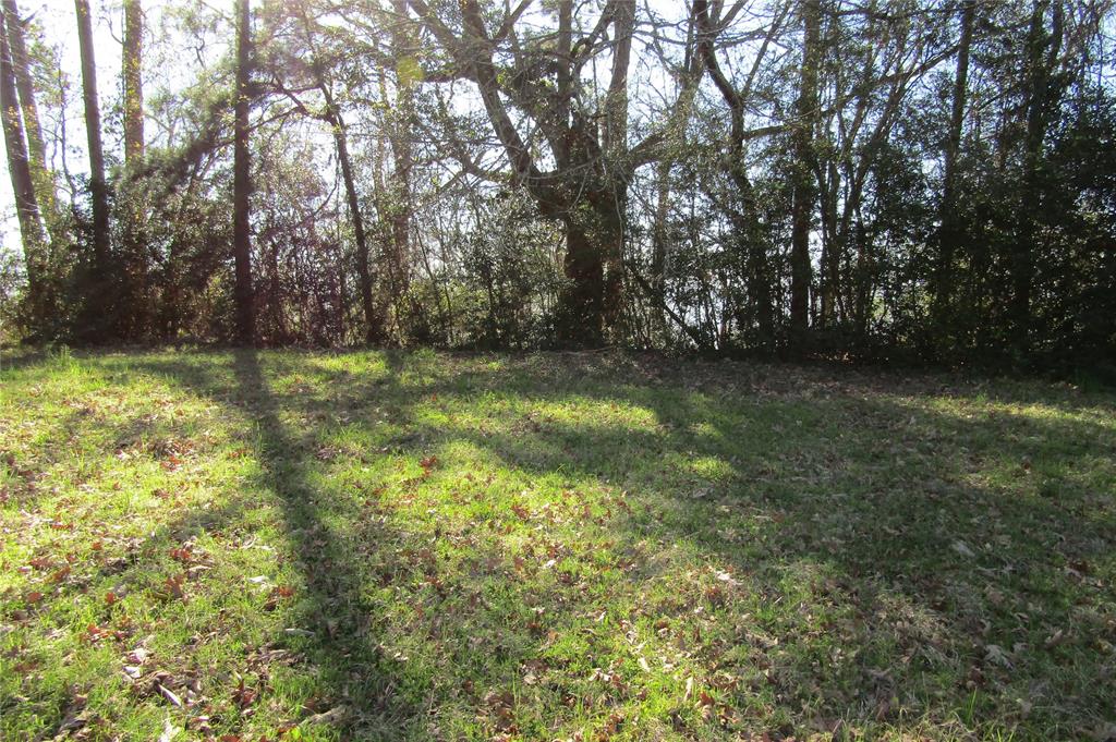 TBD0 Chain Road, Livingston, Texas image 4