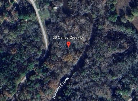 Vacant Land For Sale - 36 Caney Creek Drive<br/> Huntsville, TX 77320