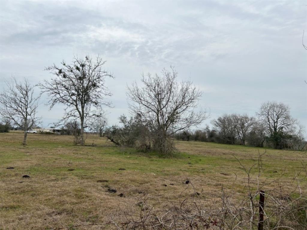 23640 Jones Road, Hempstead, Texas image 11