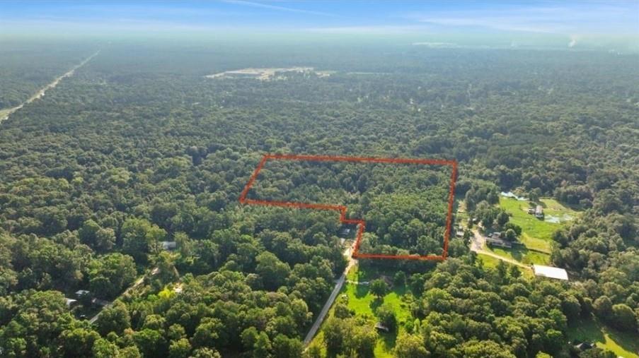 18763 Woodland Forest Dr Drive, Conroe, Texas image 17