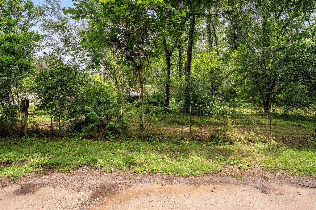 18763 Woodland Forest Dr Drive, Conroe, Texas image 16