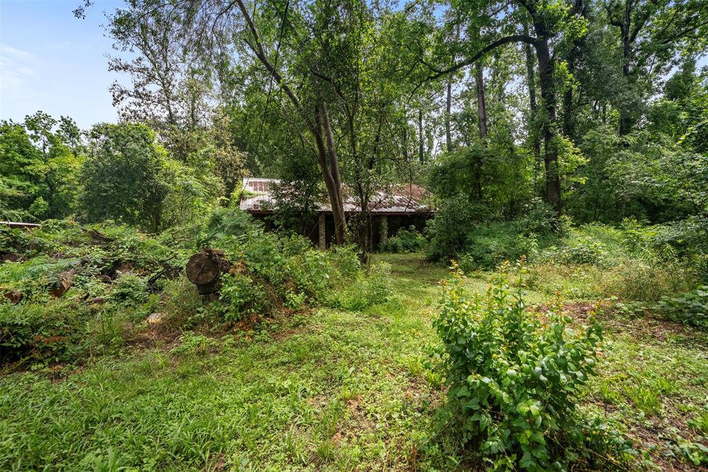 18763 Woodland Forest Dr Drive, Conroe, Texas image 14