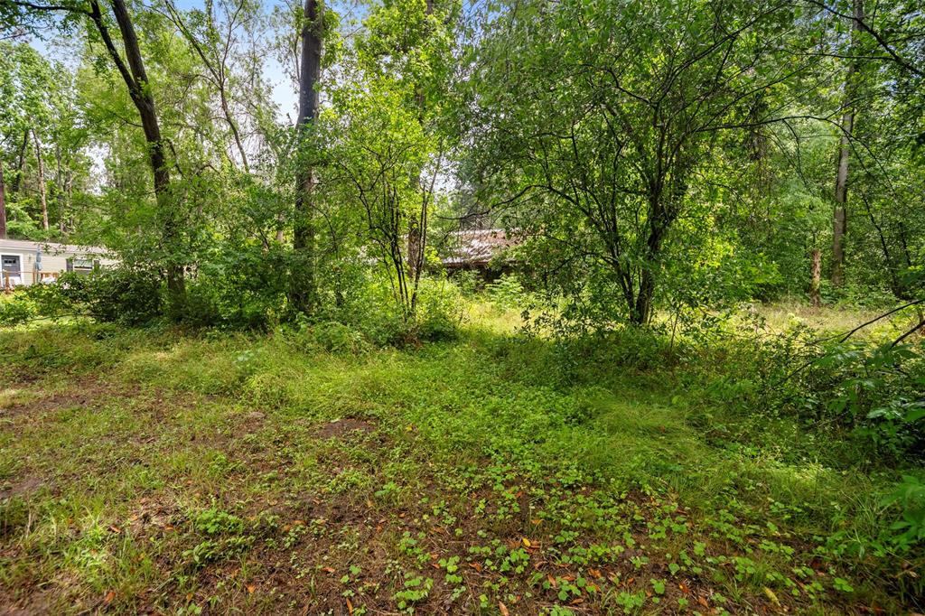 18763 Woodland Forest Dr Drive, Conroe, Texas image 15